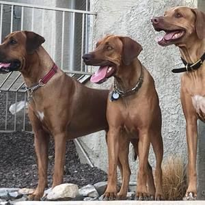 Meet your Posher, Deanna